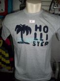 Camiseta hollister Tam.P cod025a